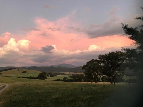 The Studio - Yarra Valley