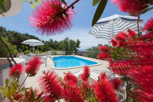 Family friendly house with a swimming pool Makarska - 19796