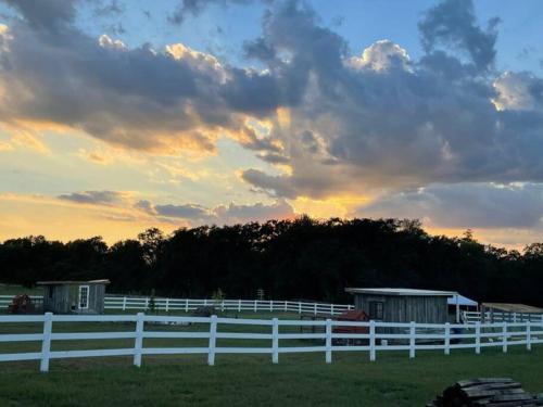 Luxury 4 BR Stay on Stunning Farm Near Round Top