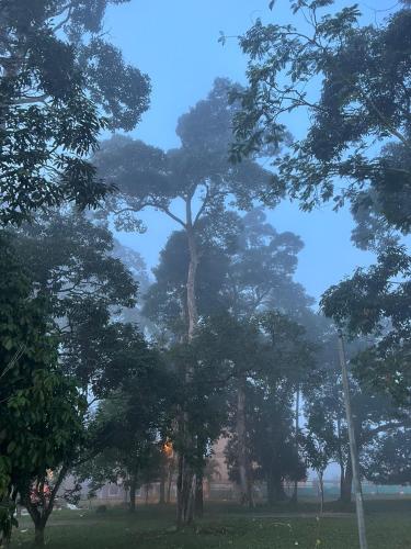 Laman Cottage @ Brisu, Melaka in Lubuk China