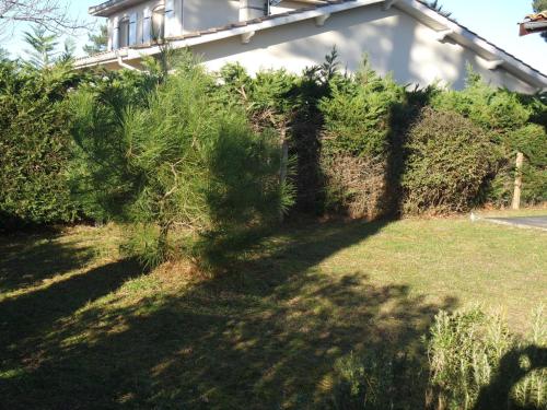 Maison Gujan-Mestras 4 pièces 6 personnes - FR-1-319-362 - image 10