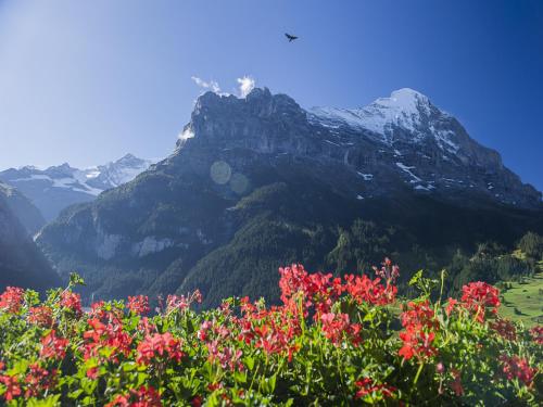 Hotel Bernerhof Grindelwald