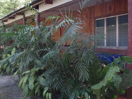 Guest house Posada Ixchel