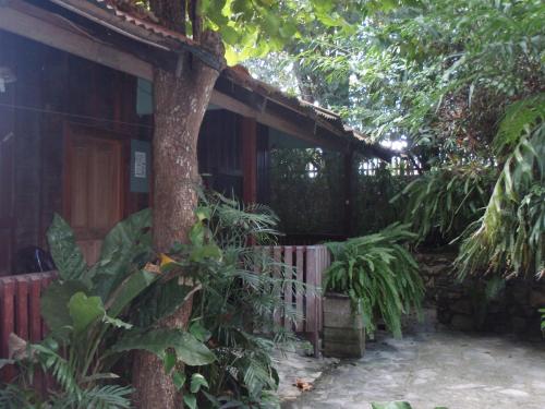 Guest house Posada Ixchel in El Remate