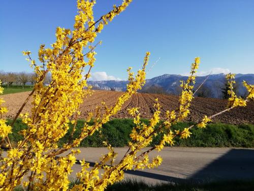 Skats, Rendez-vous au jardin in Vinay (Rhone-Alpes)