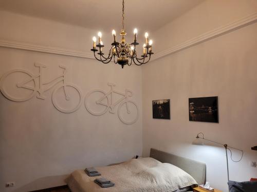 Liszt Studio, Budapešť (fotografie 8)