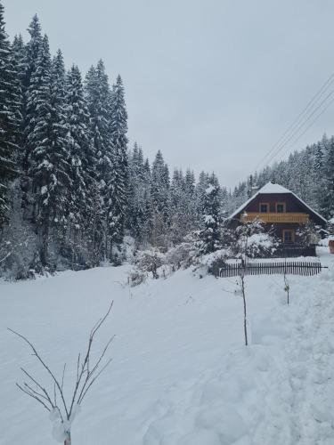 Apkārtne, Chalet am Bach in Deutsch-Griffen