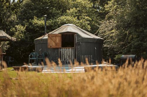 Beech Yurt in Fernhurst