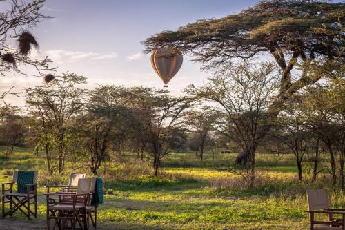 Gnu Ndutu Camp - Tap to explore photos