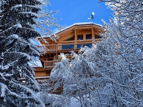 Chalet Morzine, 7 pièces, 12 personnes - FR-1-627-20