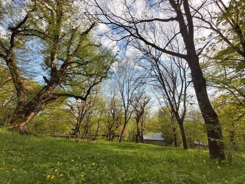 Wooden House Ashuri in Ananuri