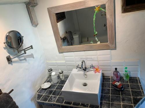 Exclusive Beachfront Eco studio in Saint Patrick