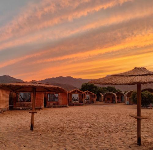 Nearby attraction, Baraka Camp in Taba