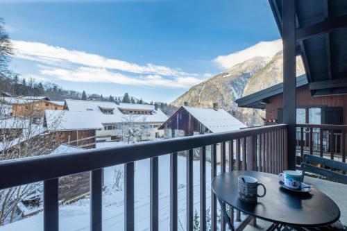 Apt with nice view near the center of Chamonix