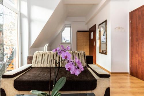 บริการและสิ่งอำนวยความสะดวก, Brzoza w centrum Zakopanego in กาเมียนเนียซ