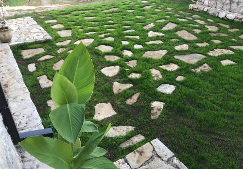 Green Silence - Iva - image 11