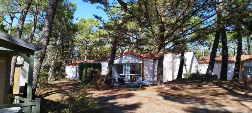 2 bedrooms, 4 beds