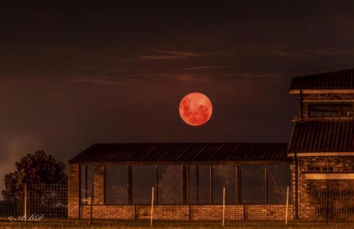 Grey Goose Game Lodge Grey Goose Game Lodge