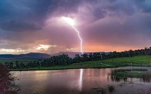 Grey Goose Game Lodge Grey Goose Game Lodge