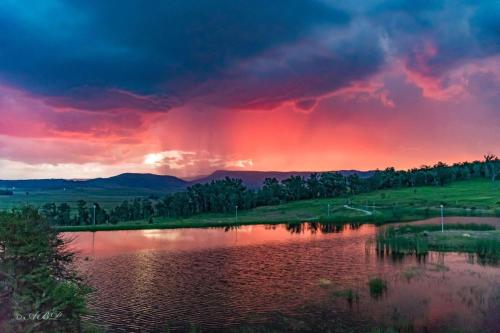 Grey Goose Game Lodge Grey Goose Game Lodge