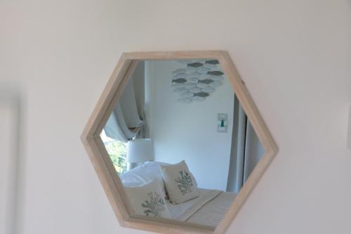 CORALLI DEL PLEMMIRIO - image 14