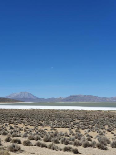 The first real Bed & Breakfast Hiking Hotel 'The Office' in Arequipa, Peru