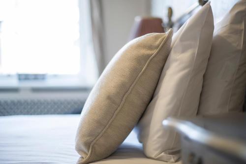 The Pied Bull - image 8