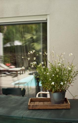 Maison d hôtes LA VILLA MADELEINE - image 3