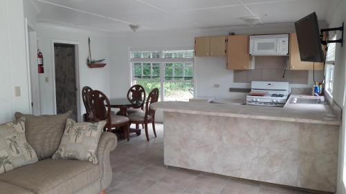 . ANDROS VILLAS ON SEA FRONT Bahamas