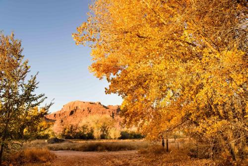 Wolfe's Hotel Moab