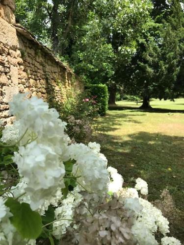 Château de Clérans