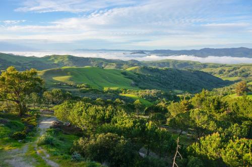 LUXURY - VISTA HOUSE above the clouds!