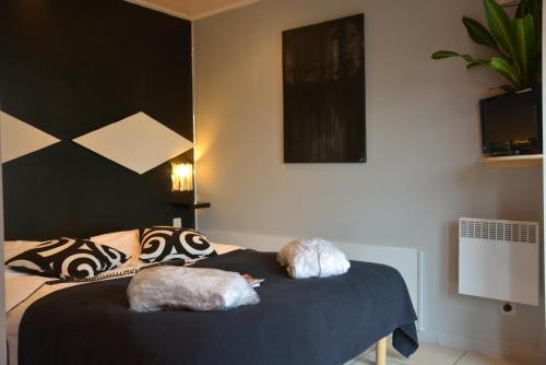  B&B A l'Essentiel in Thulin