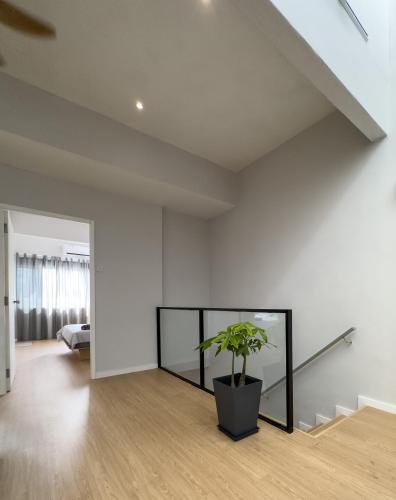 Muji Designer Suite Muji Designer Suite