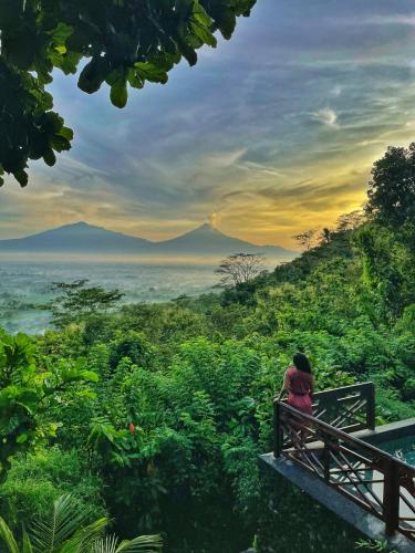 Vaade, Villa Borobudur Resort in Magelang