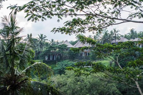 Hidden Gem Suites Ubud