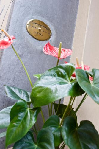 Hotel Unicorno - image 11