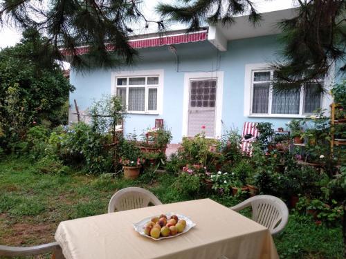 MERDOĞLU MALİKANESİ
