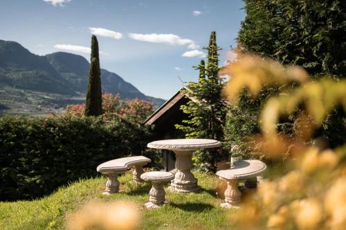 Hotel Chalet Gravenstein - image 2
