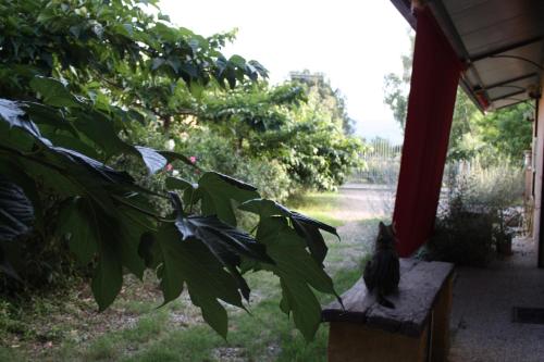 Catiadas casa con piscina e terreno 1