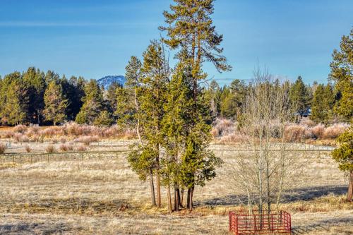 Meadow Walk Cabin