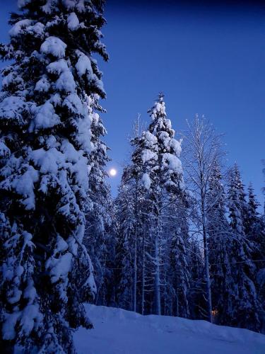Kelotupa 19, Syöte (foto 9)