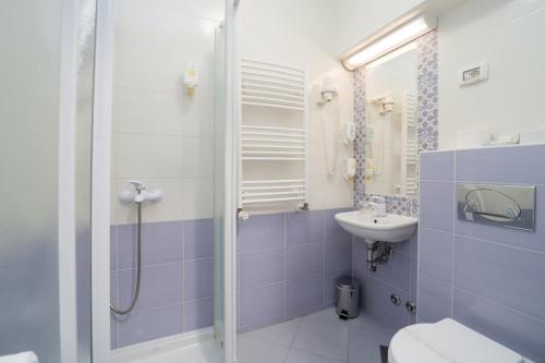 Hotel Zlatna Vala - image 2