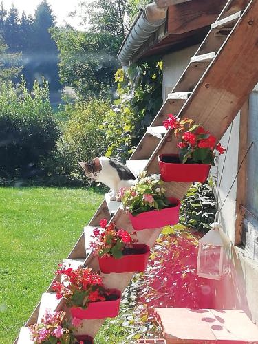 Dārzs, Rendez-vous au jardin in Vinay (Rhone-Alpes)
