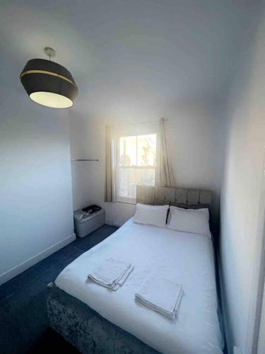 Spacious One Bedroom Private Flat in Brixton +Wifi