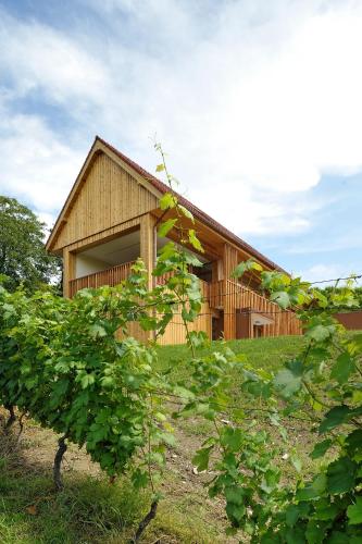 Wine & Tourisam Valdhuber Apartments - image 13
