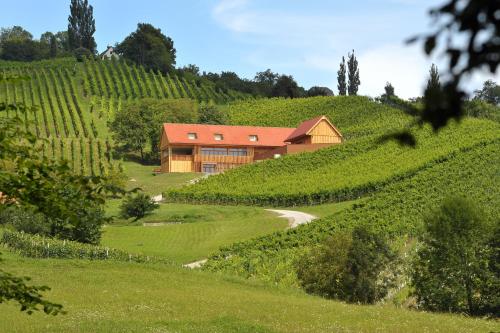 Vino Valdhuber Apartments - Hotel - Svečina