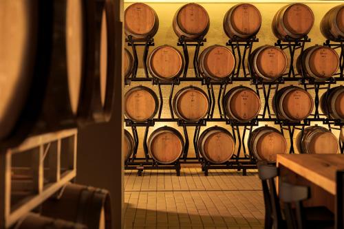 Le Filigare Winery & Resort in Chianti - main image