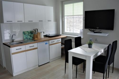 Apartment with kitchen room in Zielony Domek