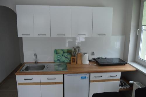 Apartment with kitchen image 3